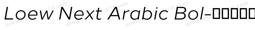 Loew Next Arabic Bol字体转换